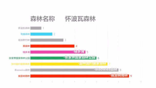 盘底世界上最美的十大森林!简直犹如魔幻电影里的场景!