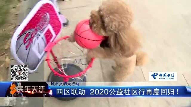 城市文明大行动:四区联动,2020公益社区行再度回归!