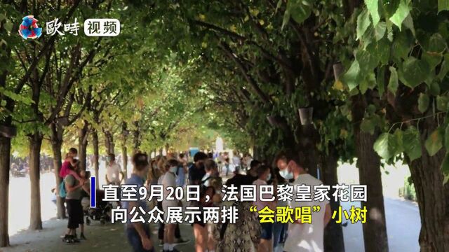 巴黎皇家花园里的树“会唱歌”,人越靠近,声音越大