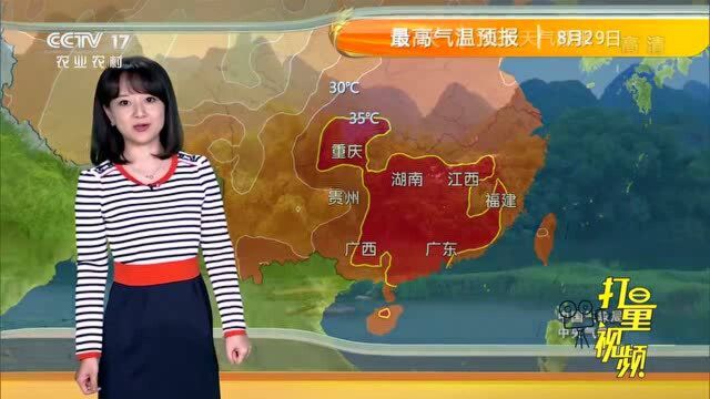 无籽露葡萄:颜值高,营养价值高,清甜可口农业气象