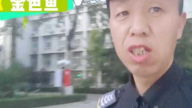 有人说当保安不干活,老白于到有些事,看他怎么说