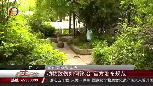 动物致伤如何诊治,官方发布规范