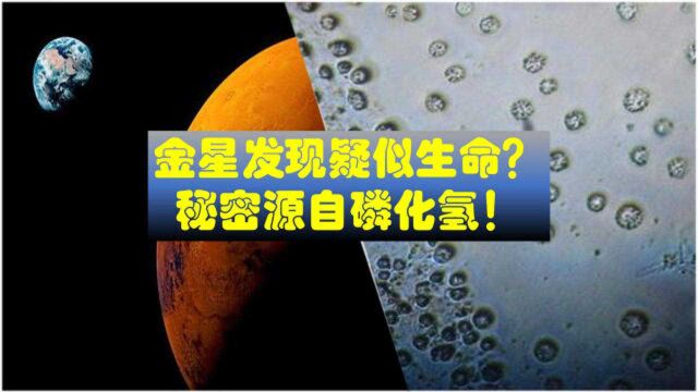 金星疑似存在生命?磷化氢是生命标志?金星可能成为第二地球……