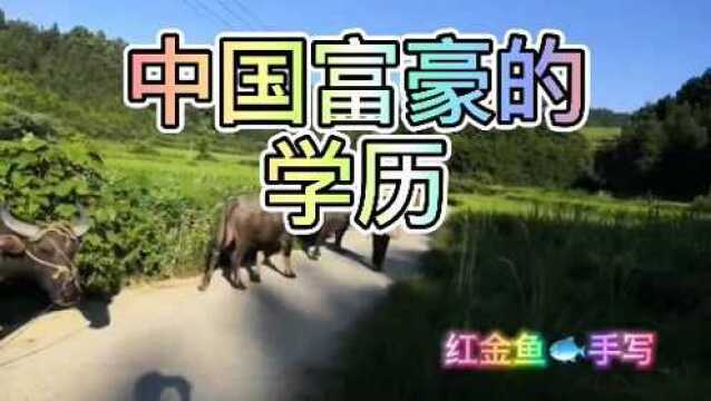 中国富豪的学历,通过他们的学历,你看到了什么?