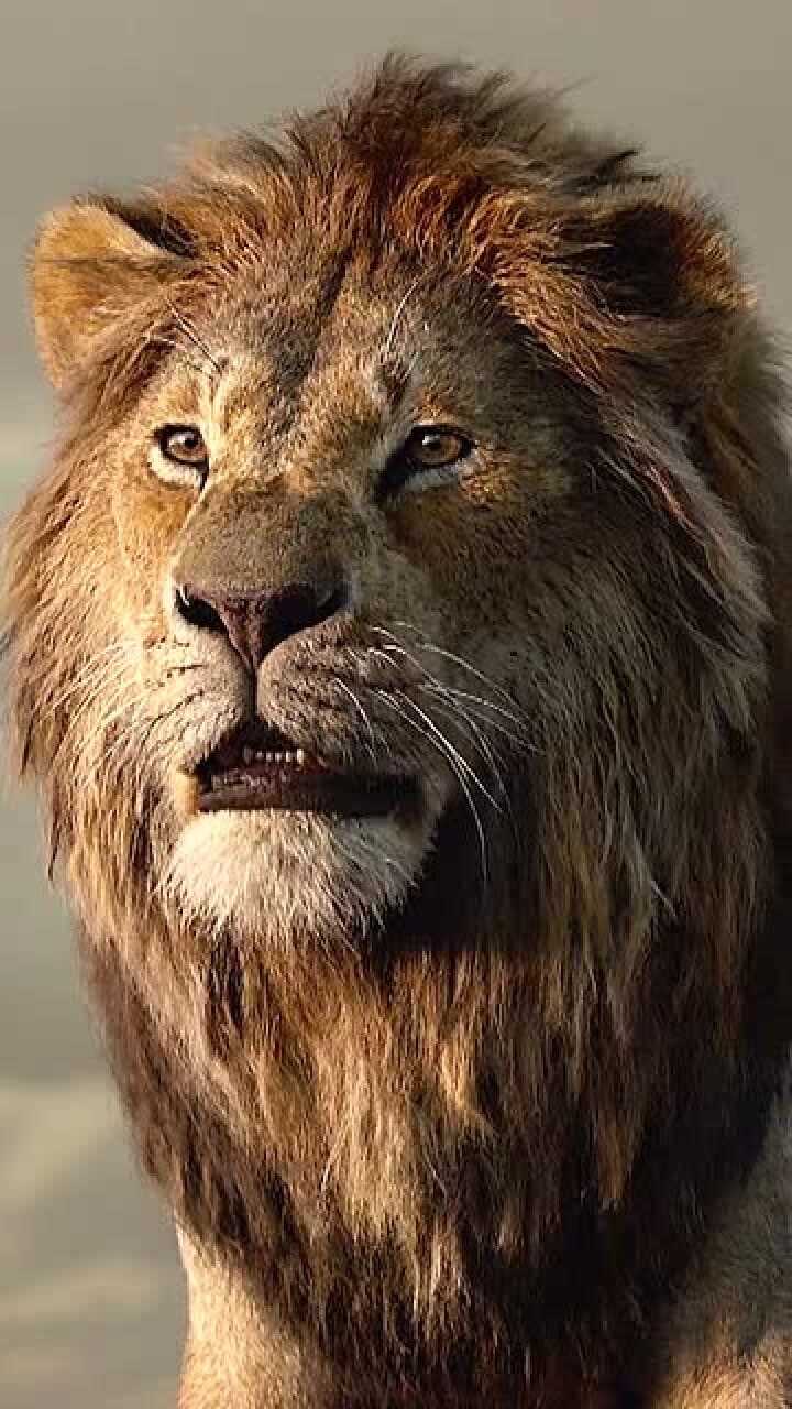 狮子王:辛巴回归,霸气十足