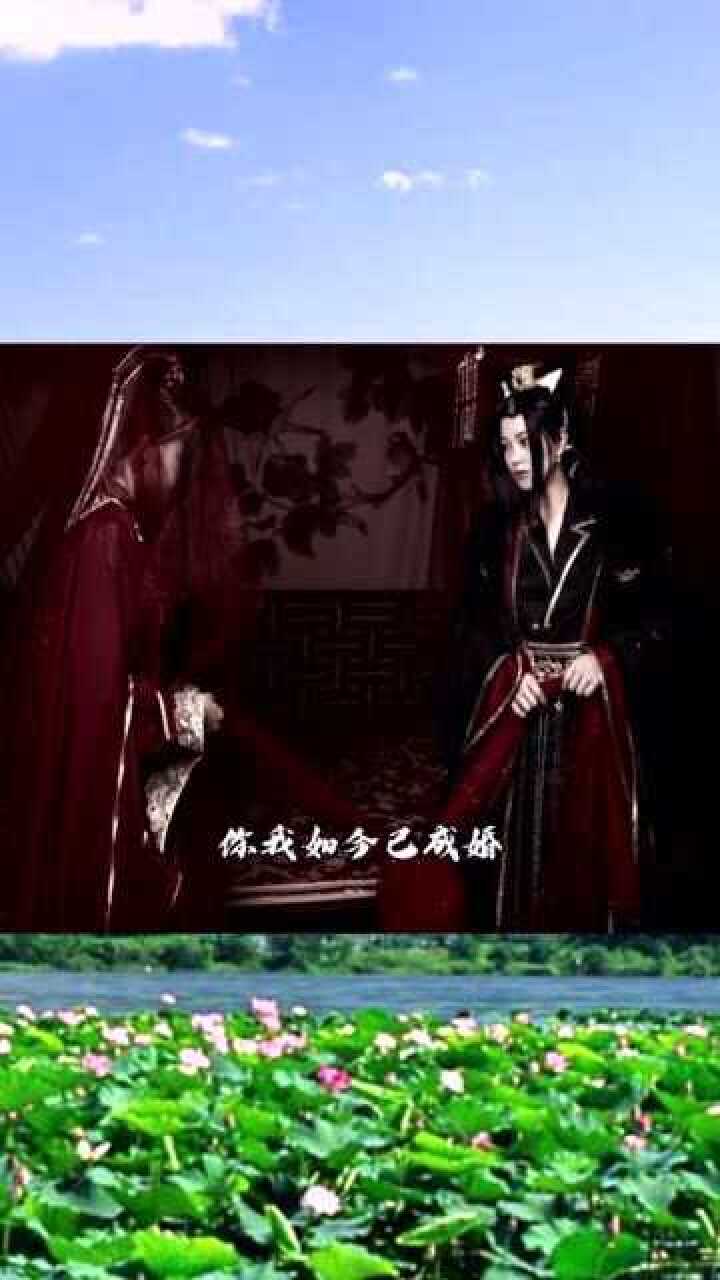 二哈:踏仙君的一句"楚妃",宋秋彤的一声"妹妹",生