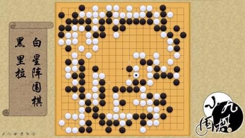 世界人工智能围棋大赛 一个局部的反杀感受AI的恐怖
