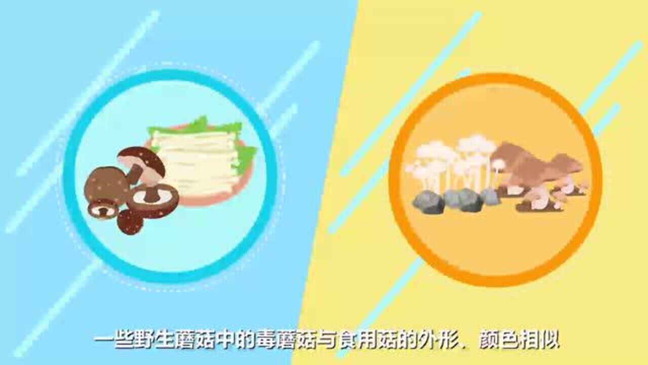国家基本公共卫生服务项目宣传片_高清