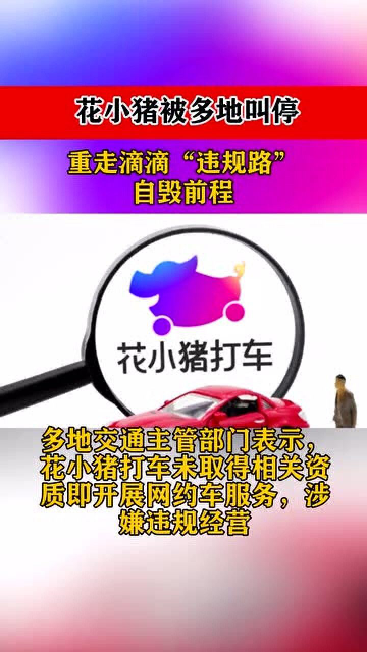 花小猪被多地叫停 重走滴滴"违规路"自毁前程