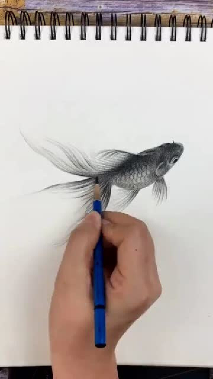 素描今天来画一只小鱼是不是栩栩如生