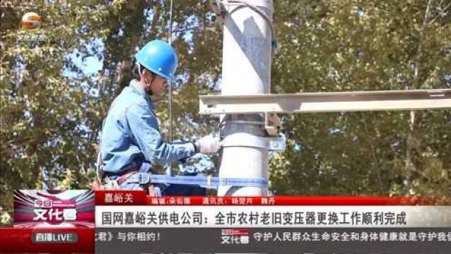 国网嘉峪关供电公司:全市农村老旧变压器更换工作顺利完成