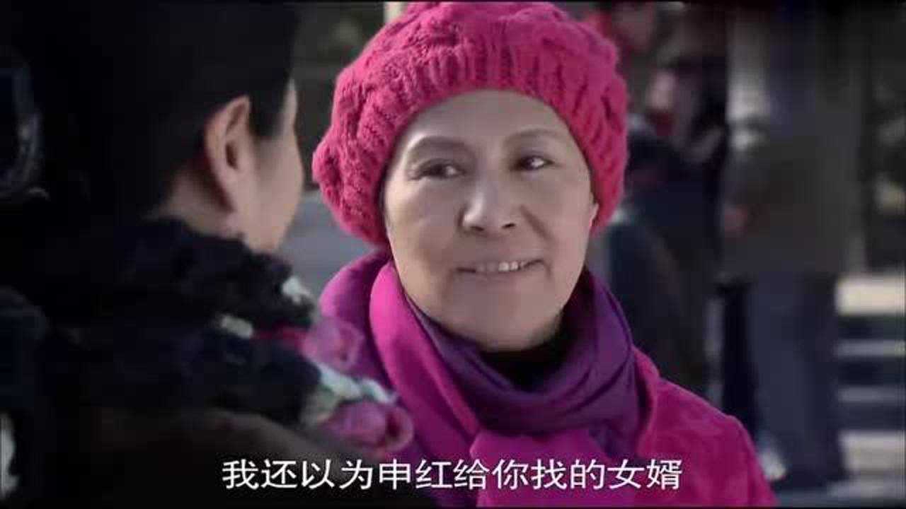 我的女婿 腾讯网