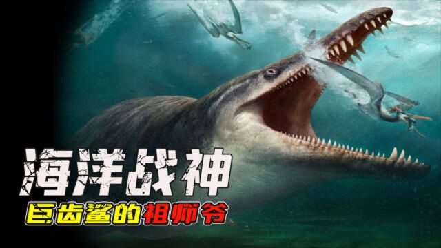 身长23米体重80吨的海怪!海洋第一代“战神”,巨齿鲨的祖师爷