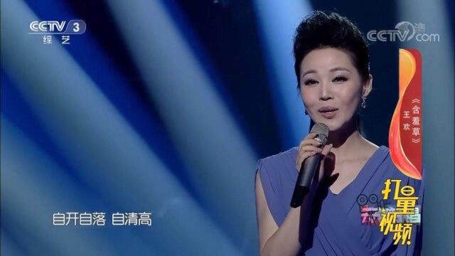 王欢演唱《含羞草》,歌声深情感人,让人心醉