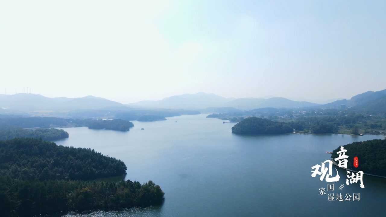 綠水青山·美麗中國—安徽懷寧觀音湖國家溼地公園#綠水青山美麗中國