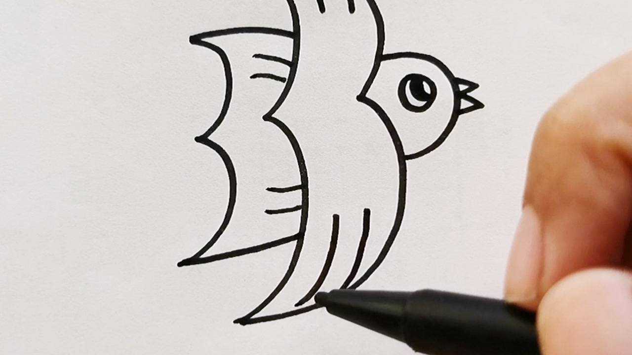 3字画鸟方法图片