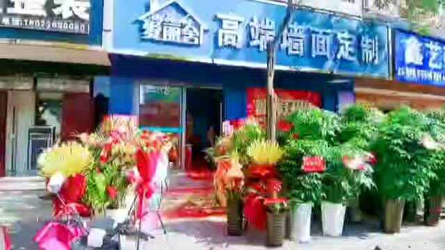 爱丽舍艺术涂料安乡旗舰店开业盛典