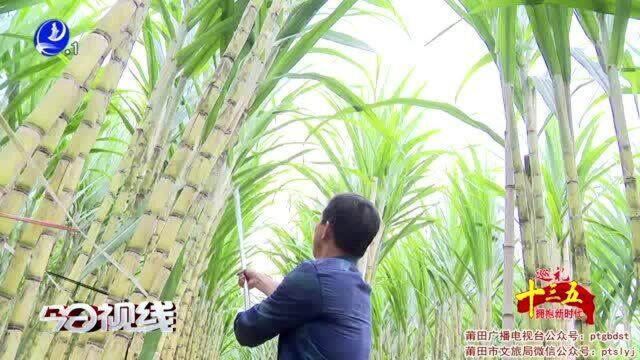 莆田:托起致富幸福路