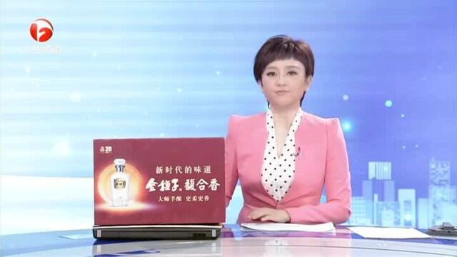 合肥:二手车挂靠公司 承诺一年后过户?