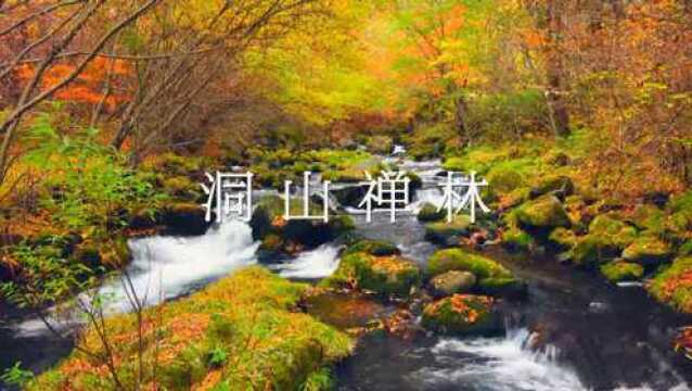 琴箫《洞山禅林》心安坦然,自在洒脱