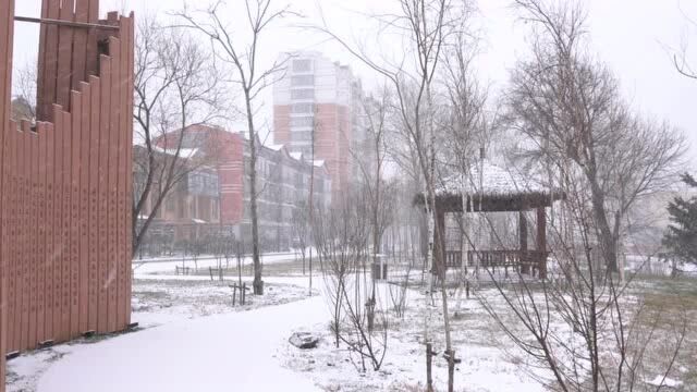 “冻”情冰雪丨大雪突降 小城铁力增诗意