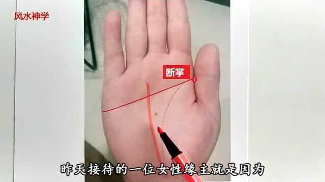 手相:女强人的手相特征