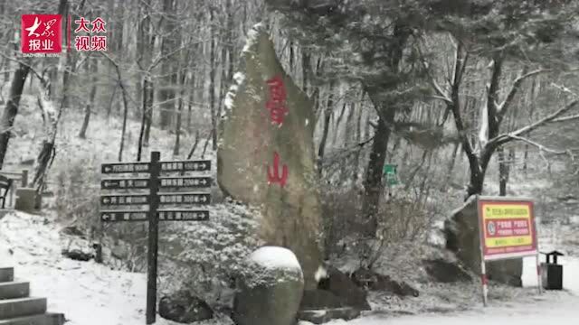 山东各地初雪陆续到来,你那里下雪了吗?