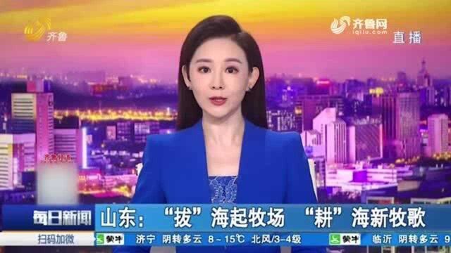 “拔”海起牧场 “耕”海新牧歌!山东精耕深海 大力建设海洋牧场