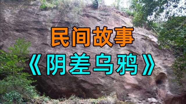 民间故事《阴差乌鸦》农村老人们的看法,乌鸦是来自地狱的阴差