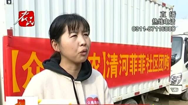 邢台威县:收购车辆地头排起长队,滞销红薯一天卖出10万斤!