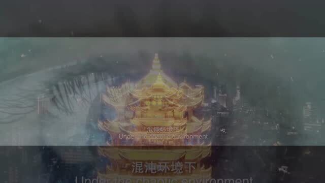 第十二届东西部小动物临床兽医师大会