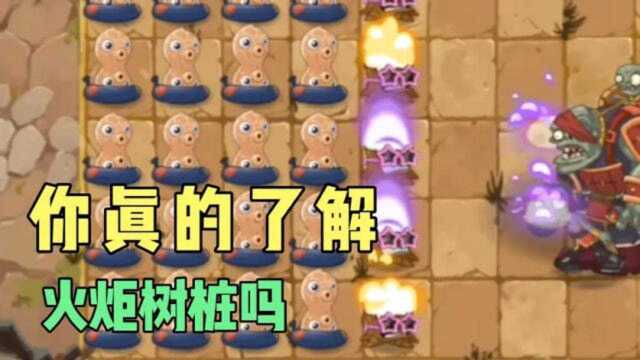 pvz2:你真的了解火炬树桩吗