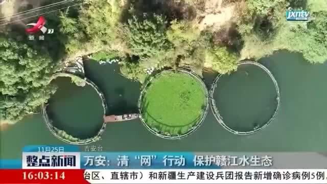 万安:清“网”行动 保护赣江水生态