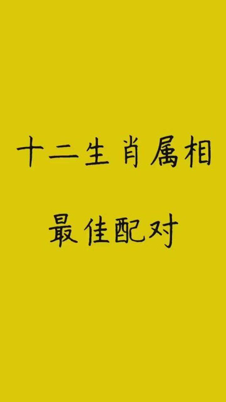 十二生肖最佳配对,快来看看自己的吧