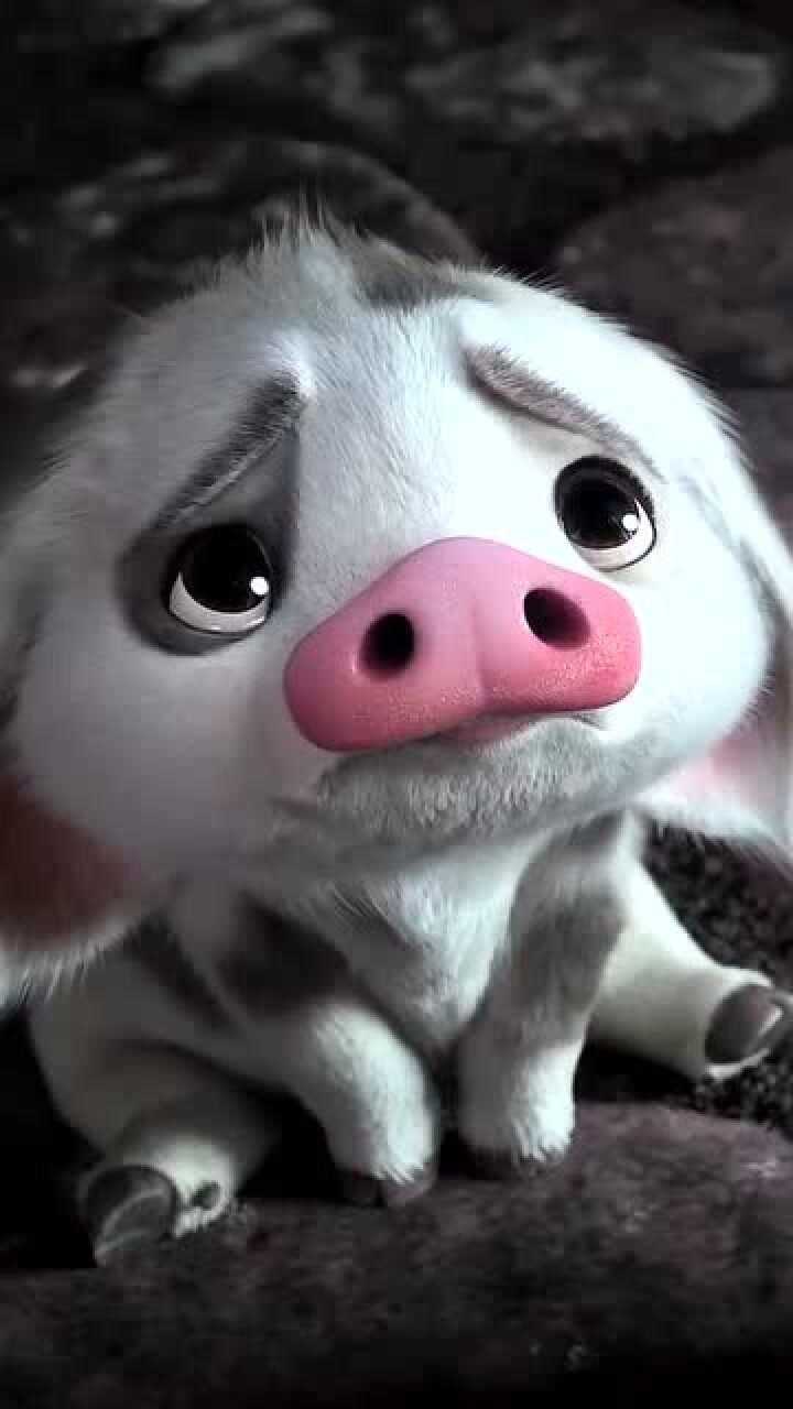 海洋奇缘,可爱的小猪猪,真是太萌了_腾讯视频