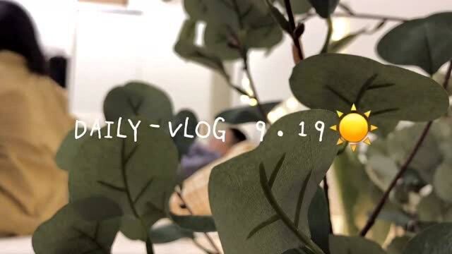 【vlog日常】拌饭的灵魂 怎么能没有海苔碎