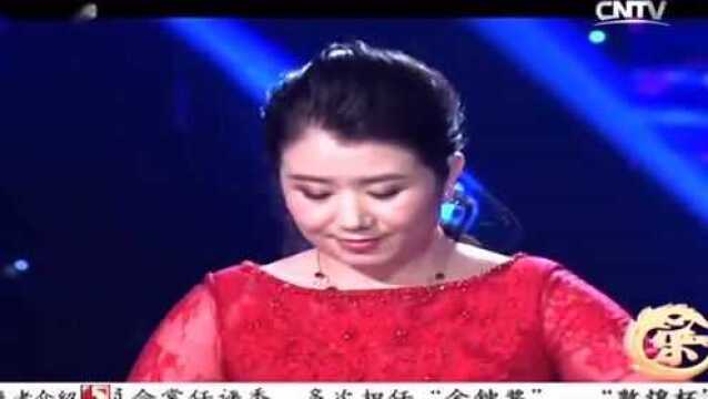 一首美妙的古筝曲《梅花三弄》演奏:张璐