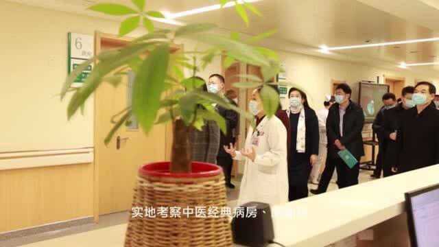 国家中医药管理局党组书记余艳红一行调研潍坊市中医院