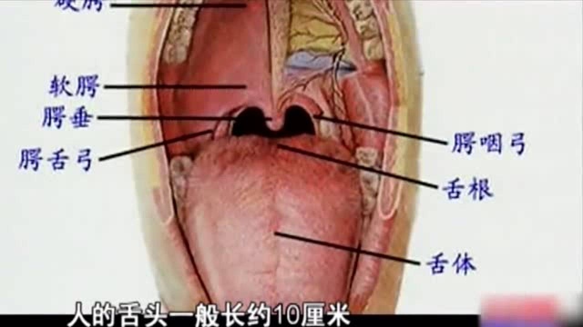 女孩得罕见疾病,面容扭曲太吓人,医生都吓一跳