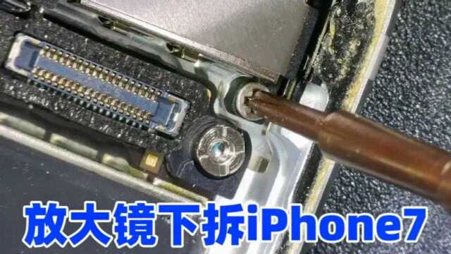 放大镜下拆iPhone7,逼真的展现出苹果手机的内部细节