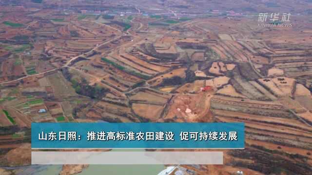 山东日照:推进高标准农田建设 促可持续发展