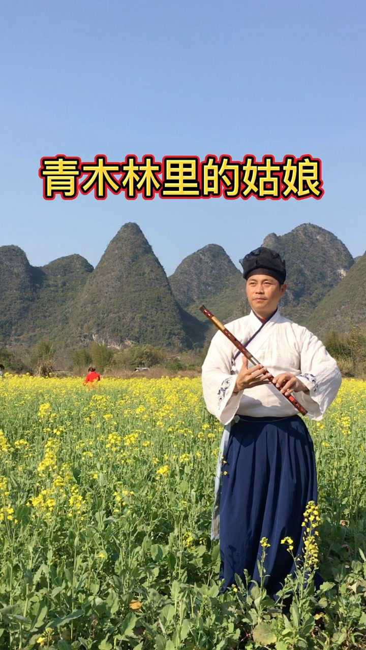 青木林里的青木秧桂林山水甲天下美丽桂林欢迎您