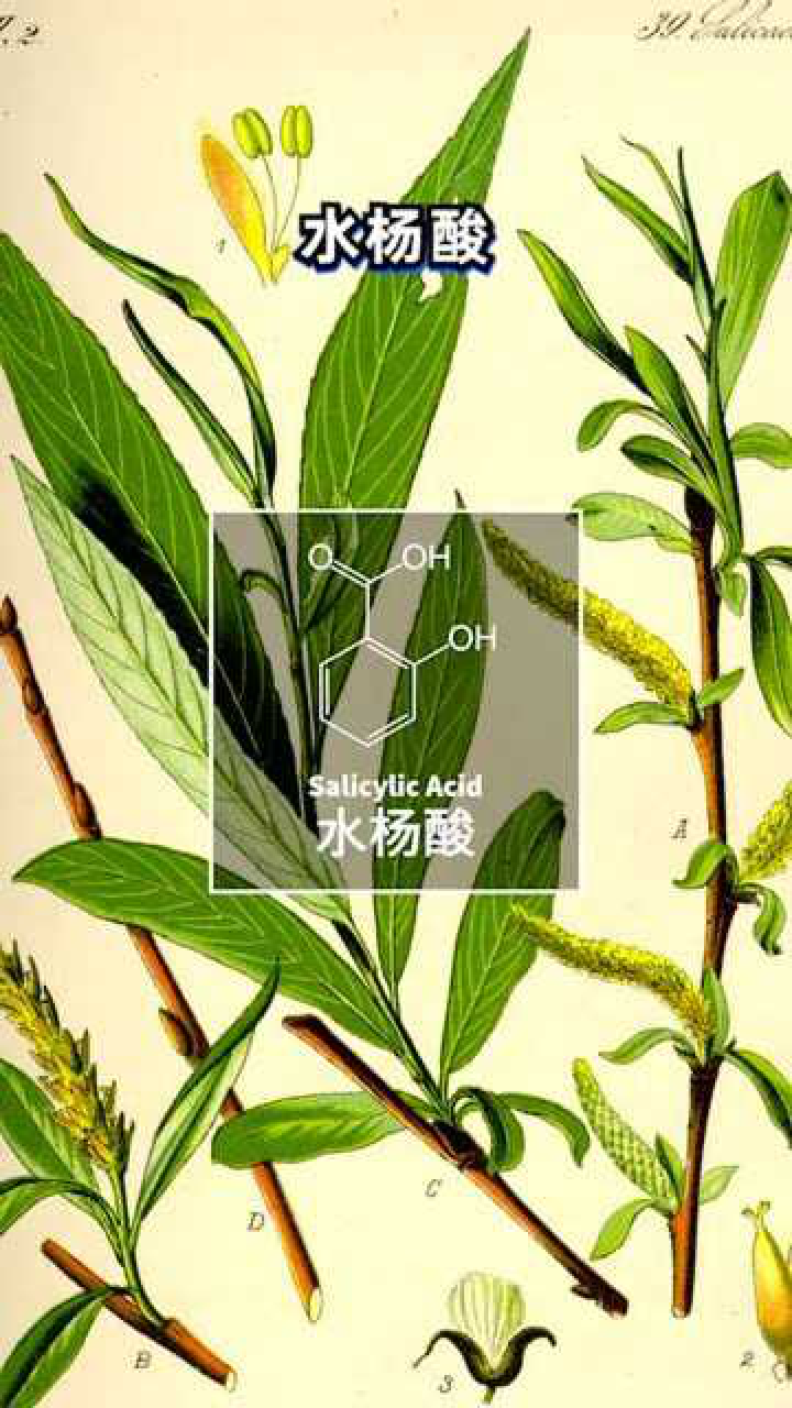 阿司匹林是用柳树皮提炼的？医学发现柳树有水杨酸，最后制成阿司匹林很畅销_高清1080P在线观看平台_腾讯视频