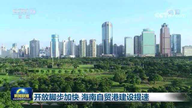 “一张网”办事有多快?海南自贸港给出响亮回答