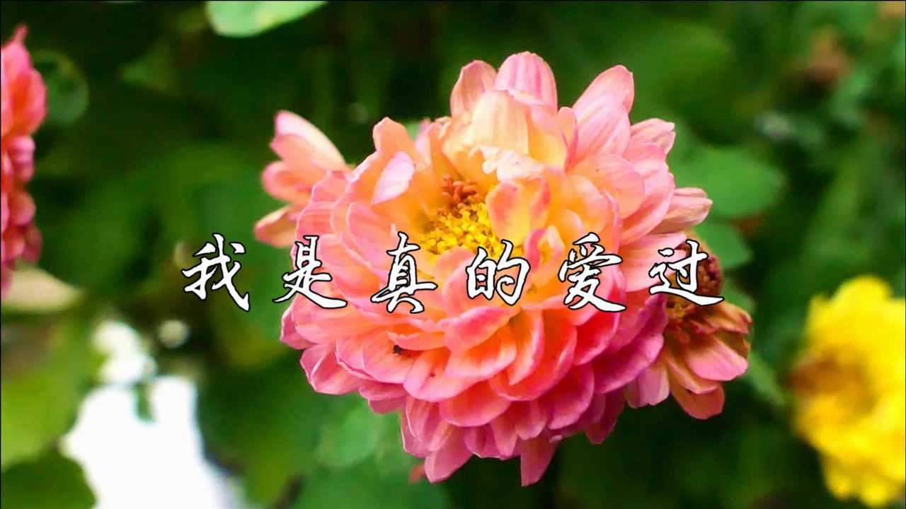 一首伤感情歌《我是真的爱过》唱得太感人,听哭多少痴情人!