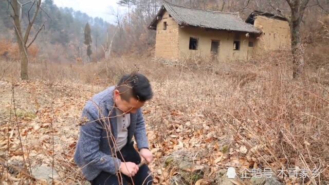 与世隔绝,居住在山顶上,我的外婆家