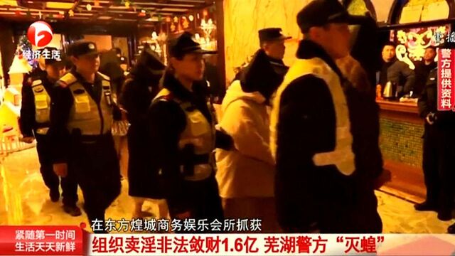 东方煌城娱乐会所组织卖淫非法敛财1.6亿!芜湖警方“灭蝗”