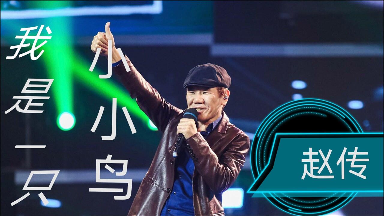 赵传《我是一只小小鸟》