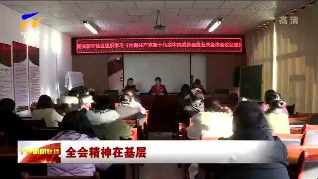 宁夏:各地开展形式多样的宣讲活动让全会精神走心走实