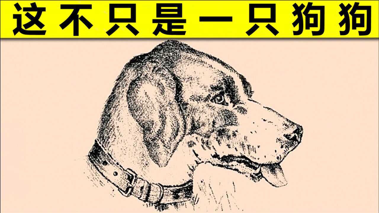 5张欺骗眼睛的视觉图,这不仅仅是一只狗,男人头像你发现了吗?